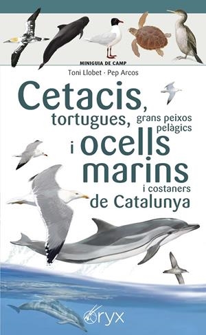 CETACIS, TORTUGUES, GRANS PEIXOS PELÀGICS I OCELLS MARINS DE CATALUNYA | 9788490349441 | LLOBET FRANÇOIS , TONI/ARCOS XX, PEP | Galatea Llibres | Librería online de Reus, Tarragona | Comprar libros en catalán y castellano online