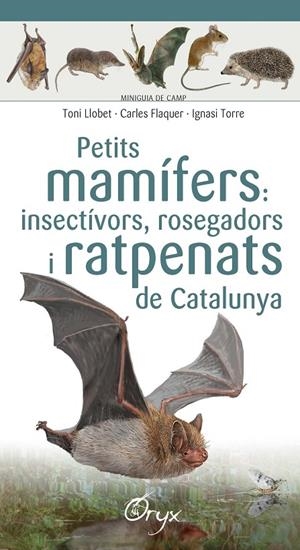 PETITS MAMÍFERS: INSECTÍVORS, ROSEGADORS I RATPENATS DE CATALUNYA | 9788490348956 | LLOBET FRANÇOIS , TONI/FLAQUER XX, CARLES/TORRE XX, IGNASI | Galatea Llibres | Librería online de Reus, Tarragona | Comprar libros en catalán y castellano online