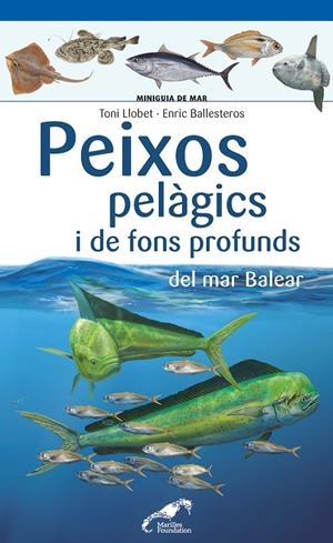 PEIXOS PELÀGICS I DE FONS PROFUNDS DEL MAR BALEAR | 9788490349397 | LLOBET FRANÇOIS, TONI/BALLESTEROS SAGARRA, ENRIC | Galatea Llibres | Llibreria online de Reus, Tarragona | Comprar llibres en català i castellà online