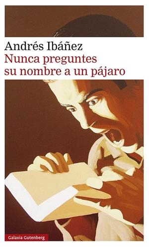 NUNCA PREGUNTES SU NOMBRE A UN PÁJARO | 9788417971632 | IBÁÑEZ, ANDRÉS | Galatea Llibres | Llibreria online de Reus, Tarragona | Comprar llibres en català i castellà online