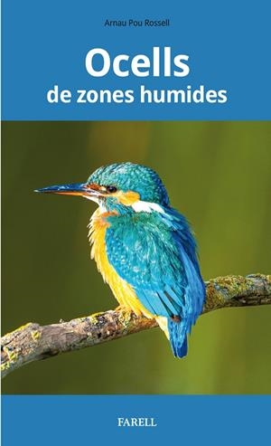 OCELLS DE ZONES HUMIDES | 9788417116255 | POU ROSSELL, ARNAU | Galatea Llibres | Llibreria online de Reus, Tarragona | Comprar llibres en català i castellà online