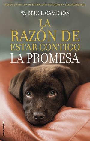 LA RAZÓN DE ESTAR CONTIGO. LA PROMESA | 9788417167103 | CAMERON, W. BRUCE | Galatea Llibres | Llibreria online de Reus, Tarragona | Comprar llibres en català i castellà online