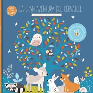 LA GRAN AVENTURA DEL CERVATELL | 9788413342788 | KENDALL, WENDY | Galatea Llibres | Llibreria online de Reus, Tarragona | Comprar llibres en català i castellà online