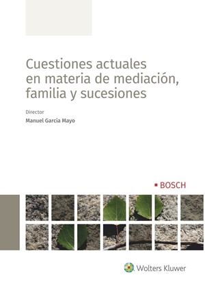 CUESTIONES ACTUALES EN MATERIA DE MEDIACIÓN, FAMILIA Y SUCESIONES | 9788490904381 | Galatea Llibres | Llibreria online de Reus, Tarragona | Comprar llibres en català i castellà online