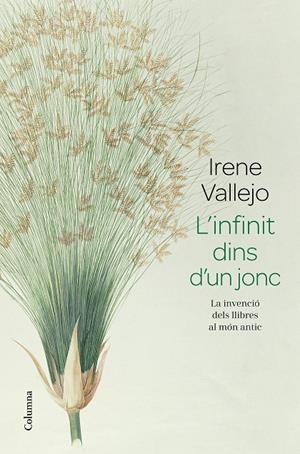 L'INFINIT DINS D'UN JONC | 9788466426947 | VALLEJO, IRENE | Galatea Llibres | Librería online de Reus, Tarragona | Comprar libros en catalán y castellano online