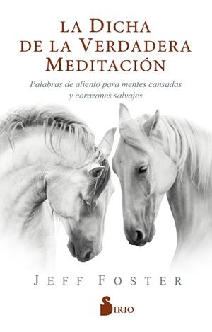 LA DICHA DE LA VERDADERA MEDITACIÓN | 9788418000522 | FOSTER, JEFF | Galatea Llibres | Llibreria online de Reus, Tarragona | Comprar llibres en català i castellà online