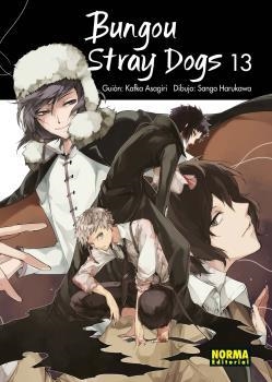 BUNGOU STRAY DOGS 13 | 9788467936582 | ASAGIRI-HARUKAWA | Galatea Llibres | Llibreria online de Reus, Tarragona | Comprar llibres en català i castellà online