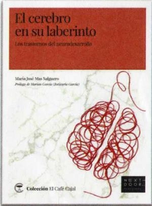 EL CEREBRO EN SU LABERINTO | 9788412159813 | MAS SALGUERO, MARÍA JOSÉ | Galatea Llibres | Llibreria online de Reus, Tarragona | Comprar llibres en català i castellà online