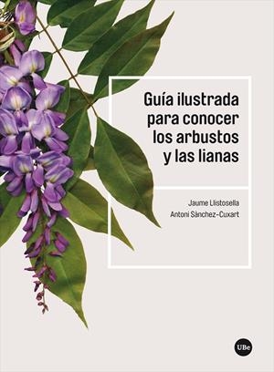 GUÍA ILUSTRADA PARA CONOCER LOS ARBUSTOS Y LAS LIANAS | 9788491684275 | LLISTOSELLA VIDAL, JAUME/SÀNCHEZ-CUXART, ANTONI | Galatea Llibres | Librería online de Reus, Tarragona | Comprar libros en catalán y castellano online