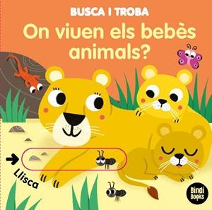 ON VIUEN ELS BEBÈS ANIMALS? | 9788418288005 | BARETTI, SONIA | Galatea Llibres | Librería online de Reus, Tarragona | Comprar libros en catalán y castellano online