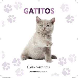CALENDARIO GATITOS 2021 | 9788448027681 | AA. VV. | Galatea Llibres | Librería online de Reus, Tarragona | Comprar libros en catalán y castellano online