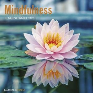 CALENDARIO MINDFULNESS 2021 | 9788448027735 | AA. VV. | Galatea Llibres | Librería online de Reus, Tarragona | Comprar libros en catalán y castellano online
