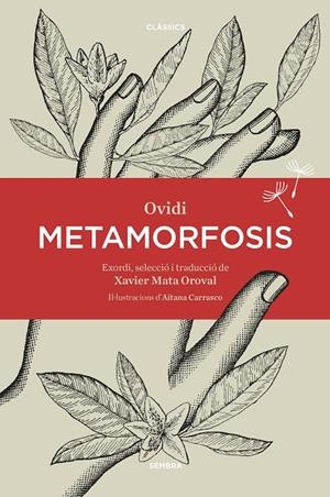 METAMORFOSIS | 9788416698387 | OVIDI | Galatea Llibres | Llibreria online de Reus, Tarragona | Comprar llibres en català i castellà online