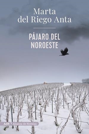PÁJARO DEL NOROESTE | 9788413620558 | DEL RIEGO, MARTA | Galatea Llibres | Llibreria online de Reus, Tarragona | Comprar llibres en català i castellà online