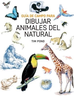 GUÍA DE CAMPO PARA DIBUJAR ANIMALES DEL NATURAL | 9788415053828 | BOND, TIM | Galatea Llibres | Librería online de Reus, Tarragona | Comprar libros en catalán y castellano online