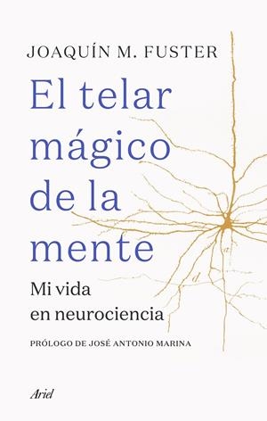 EL TELAR MÁGICO DE LA MENTE | 9788434432970 | FUSTER, JOAQUÍN | Galatea Llibres | Librería online de Reus, Tarragona | Comprar libros en catalán y castellano online