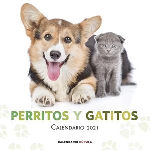 CALENDARIO PERRITOS Y GATITOS 2021 | 9788448027759 | AA. VV. | Galatea Llibres | Librería online de Reus, Tarragona | Comprar libros en catalán y castellano online
