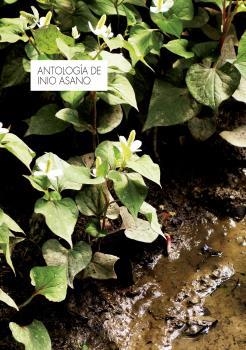 ANTOLOGIA DE INIO ASANO | 9788467942552 | ASANO, INIO | Galatea Llibres | Librería online de Reus, Tarragona | Comprar libros en catalán y castellano online