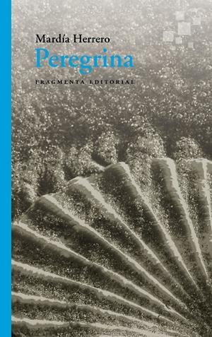 PEREGRINA | 9788417796341 | HERRERO, MARDIA | Galatea Llibres | Llibreria online de Reus, Tarragona | Comprar llibres en català i castellà online
