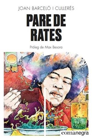 PARE DE RATES | 9788418022579 | BARCELÓ I CULLERÉS, JOAN | Galatea Llibres | Librería online de Reus, Tarragona | Comprar libros en catalán y castellano online