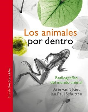 LOS ANIMALES POR DENTRO | 9788417996963 | SCHUTTEN, JAN PAUL | Galatea Llibres | Librería online de Reus, Tarragona | Comprar libros en catalán y castellano online