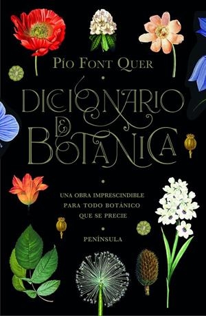 DICCIONARIO DE BOTANICA | 9788499429076 | FONT QUER, PÍO | Galatea Llibres | Librería online de Reus, Tarragona | Comprar libros en catalán y castellano online