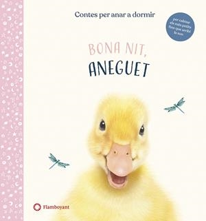 BONA NIT, ANEGUET | 9788417749637 | WOOD, AMANDA | Galatea Llibres | Llibreria online de Reus, Tarragona | Comprar llibres en català i castellà online