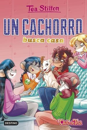 UN CACHORRO BUSCA CASA | 9788408231226 | Galatea Llibres | Librería online de Reus, Tarragona | Comprar libros en catalán y castellano online