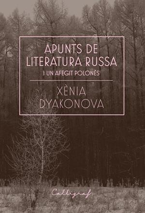APUNTS DE LITERATURA RUSSA I UN AFEGIT POLONÈS | 9788412212358 | DYAKONOVA, XÈNIA | Galatea Llibres | Librería online de Reus, Tarragona | Comprar libros en catalán y castellano online
