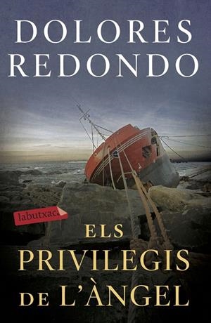 ELS PRIVILEGIS DE L'ÀNGEL | 9788417423971 | REDONDO, DOLORES | Galatea Llibres | Llibreria online de Reus, Tarragona | Comprar llibres en català i castellà online