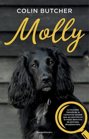 MOLLY | 9788417541033 | BUTCHER, COLIN | Galatea Llibres | Librería online de Reus, Tarragona | Comprar libros en catalán y castellano online