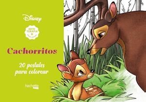 ARTETERAPIA. CACHORRITOS DISNEY | 9788417586560 | Galatea Llibres | Librería online de Reus, Tarragona | Comprar libros en catalán y castellano online