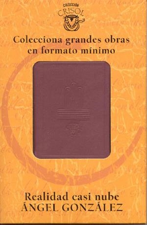 REALIDAD CASI NUBE | 9788403096363 | GONZALEZ, ANGEL | Galatea Llibres | Librería online de Reus, Tarragona | Comprar libros en catalán y castellano online