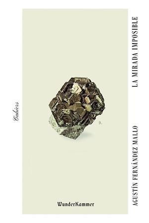 LA MIRADA IMPOSIBLE | 9788412166057 | FERNÁNDEZ MALLO, AGUSTÍN | Galatea Llibres | Librería online de Reus, Tarragona | Comprar libros en catalán y castellano online