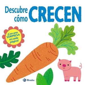 DESCUBRE CÓMO CRECEN | 9788469629321 | HAMLEY, KYLIE/BERMINGHAM, ALICE-MAY/HULME, KERRI-ANN | Galatea Llibres | Librería online de Reus, Tarragona | Comprar libros en catalán y castellano online
