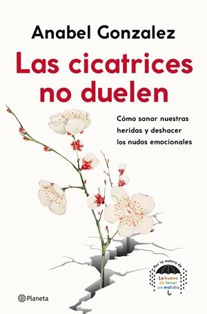 LAS CICATRICES NO DUELEN | 9788408239093 | GONZALEZ, ANABEL | Galatea Llibres | Librería online de Reus, Tarragona | Comprar libros en catalán y castellano online