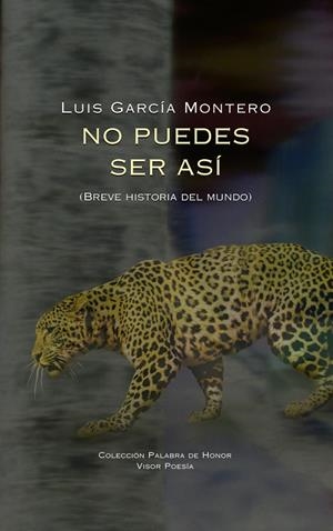 NO PUEDES SER ASÍ | 9788498956368 | GARCÍA MONTERO, LUIS | Galatea Llibres | Llibreria online de Reus, Tarragona | Comprar llibres en català i castellà online