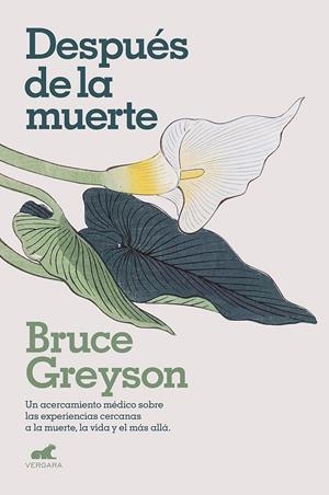 DESPUÉS DE LA MUERTE | 9788418045578 | GREYSON, BRUCE | Galatea Llibres | Llibreria online de Reus, Tarragona | Comprar llibres en català i castellà online