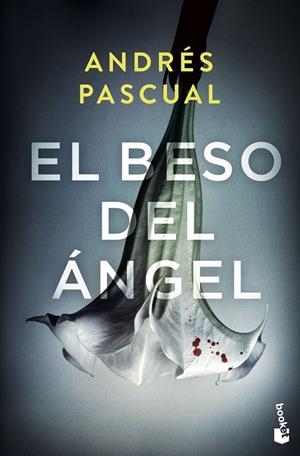 EL BESO DEL ÁNGEL | 9788467062755 | PASCUAL, ANDRÉS | Galatea Llibres | Librería online de Reus, Tarragona | Comprar libros en catalán y castellano online