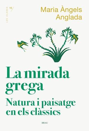 LA MIRADA GREGA | 9788418096167 | ANGLADA I D'ABADAL, MARIA ÀNGELS | Galatea Llibres | Librería online de Reus, Tarragona | Comprar libros en catalán y castellano online
