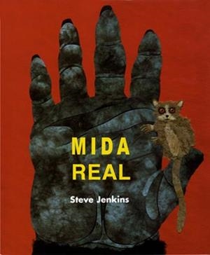 MIDA REAL | 9788426135001 | JENKINS, STEVE | Galatea Llibres | Llibreria online de Reus, Tarragona | Comprar llibres en català i castellà online