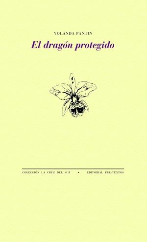 EL DRAGÓN PROTEGIDO | 9788418178788 | PANTIN, YOLANDA | Galatea Llibres | Librería online de Reus, Tarragona | Comprar libros en catalán y castellano online