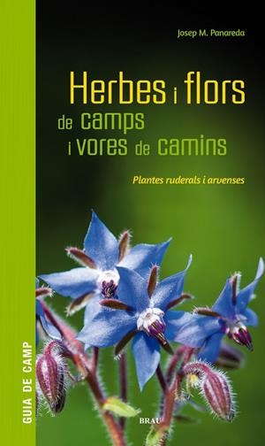HERBES I FLORS DE CAMPS I VORES DE CAMINS | 9788418096082 | PANAREDA CLOPÉS, JOSEP M | Galatea Llibres | Llibreria online de Reus, Tarragona | Comprar llibres en català i castellà online
