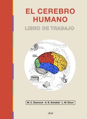 EL CEREBRO HUMANO | 9788434433601 | DIAMOND, MARIAN C./ELSON, LAWRENCE M./SCHEIBEL, A. B. | Galatea Llibres | Librería online de Reus, Tarragona | Comprar libros en catalán y castellano online