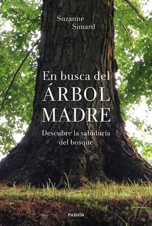 EN BUSCA DEL ÁRBOL MADRE | 9788449338311 | SIMARD, SUZANNE | Galatea Llibres | Llibreria online de Reus, Tarragona | Comprar llibres en català i castellà online