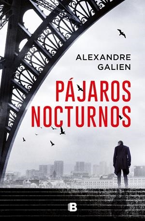 PÁJAROS NOCTURNOS | 9788466669443 | GALIEN, ALEXANDRE | Galatea Llibres | Llibreria online de Reus, Tarragona | Comprar llibres en català i castellà online