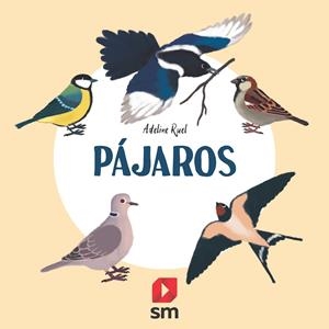 PÁJAROS | 9788413188607 | RUEL, ADELINE | Galatea Llibres | Llibreria online de Reus, Tarragona | Comprar llibres en català i castellà online