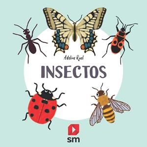 INSECTOS | 9788413188591 | RUEL, ADELINE | Galatea Llibres | Llibreria online de Reus, Tarragona | Comprar llibres en català i castellà online
