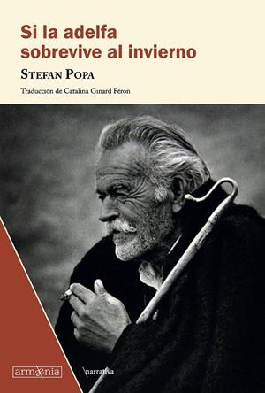 SI LA ADELFA SOBREVIVE AL INVIERNO | 9788412227628 | POPA, STEFAN | Galatea Llibres | Librería online de Reus, Tarragona | Comprar libros en catalán y castellano online