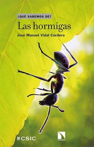 LAS HORMIGAS | 9788413522753 | VIDAL, JOSÉ MANUEL | Galatea Llibres | Llibreria online de Reus, Tarragona | Comprar llibres en català i castellà online